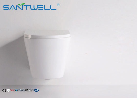 Euro wall mounted ceramic eastern style toilet washroom Two Piece Structure