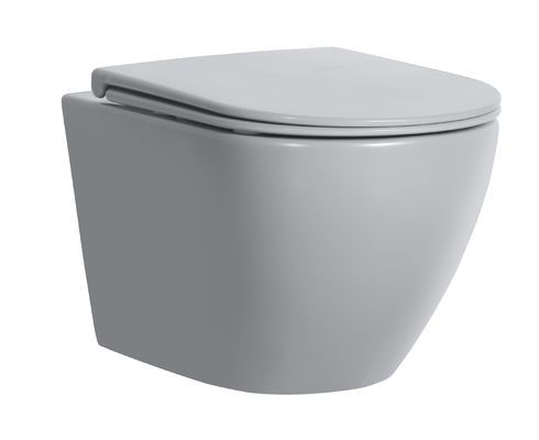 CE European Style Wall Mounted Concealed Tank D Shape Round Ceramic Wall Hung Toilet for Bathroom