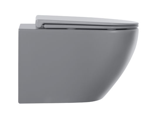 CE European Style Wall Mounted Concealed Tank D Shape Round Ceramic Wall Hung Toilet for Bathroom