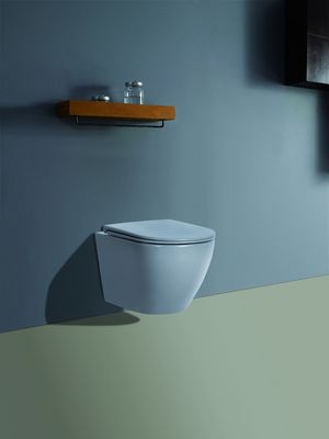 CE European Style Wall Mounted Concealed Tank D Shape Round Ceramic Wall Hung Toilet for Bathroom