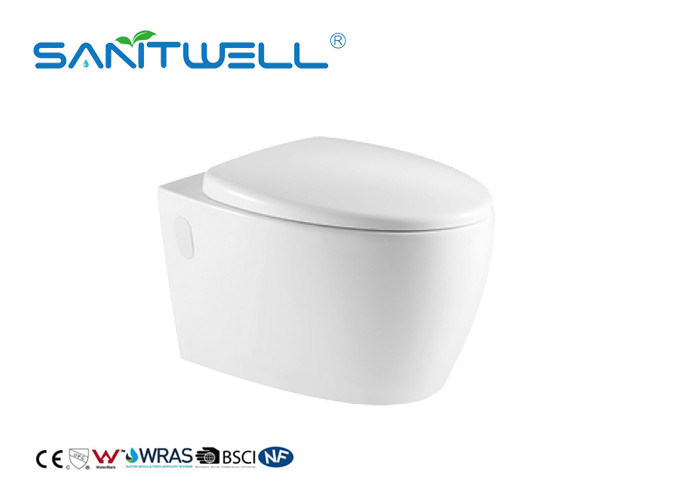 Dual Flush Fashionable Water Saving Toilets Wall Outlet Toilet With Full Pipe Glaze