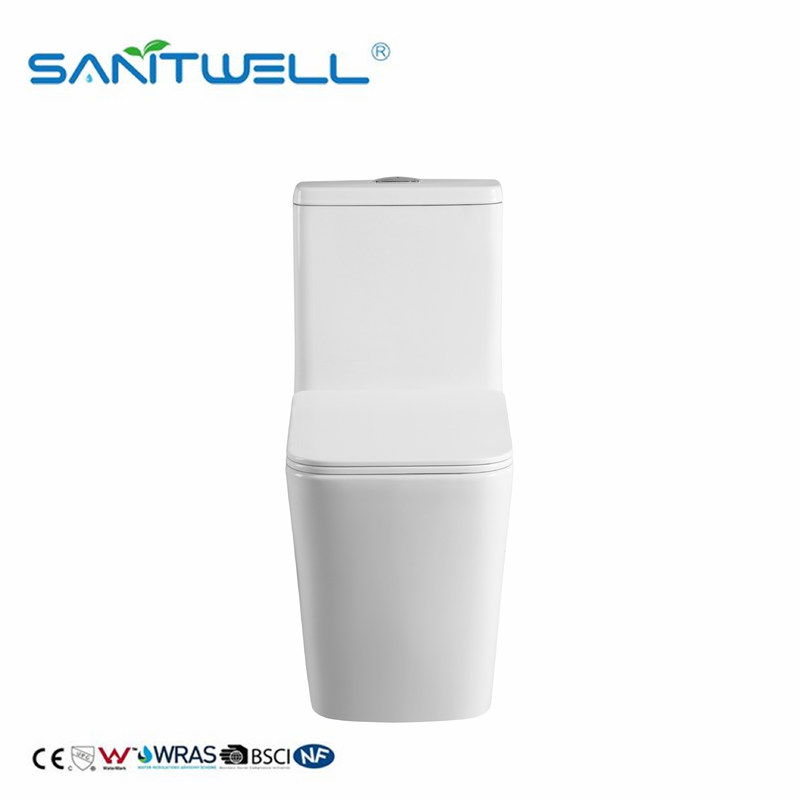 Sanitary Modern Chaozhou WC Bowl Wash Down ONE Piece Floor Toilet SWM8616